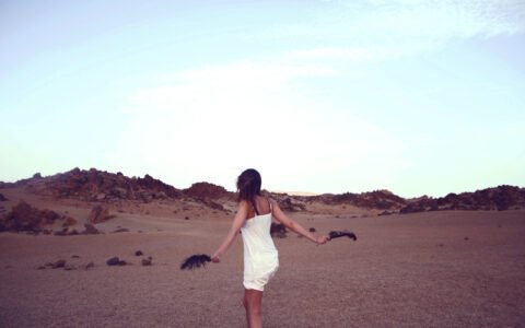 Image galerie 8